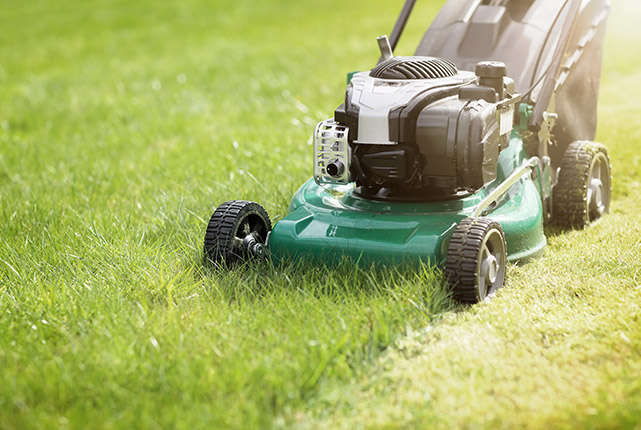 Tuin lenteklaar maken: lekker tuinieren